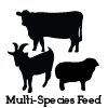Multi-Species Feed