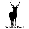 Wildlife Feed