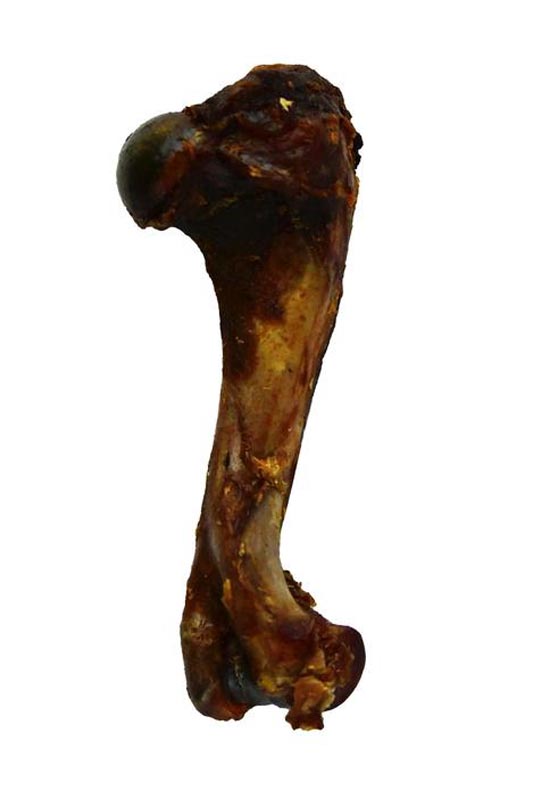 Bearinger Boar Bone