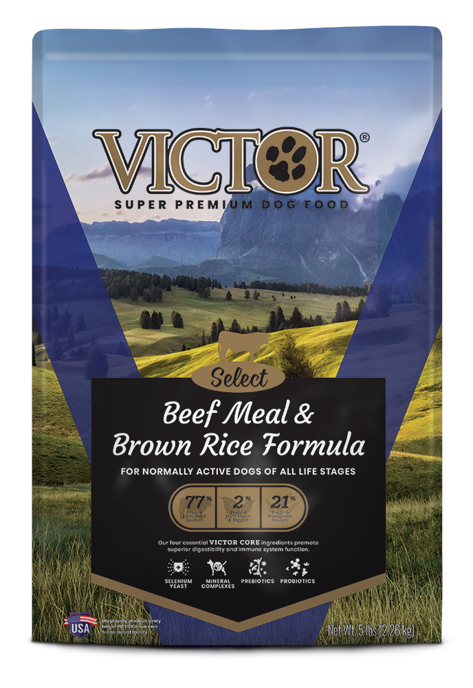 VICTOR Beef Meal & Brown Rice Formula Dog Food, 5 lbs