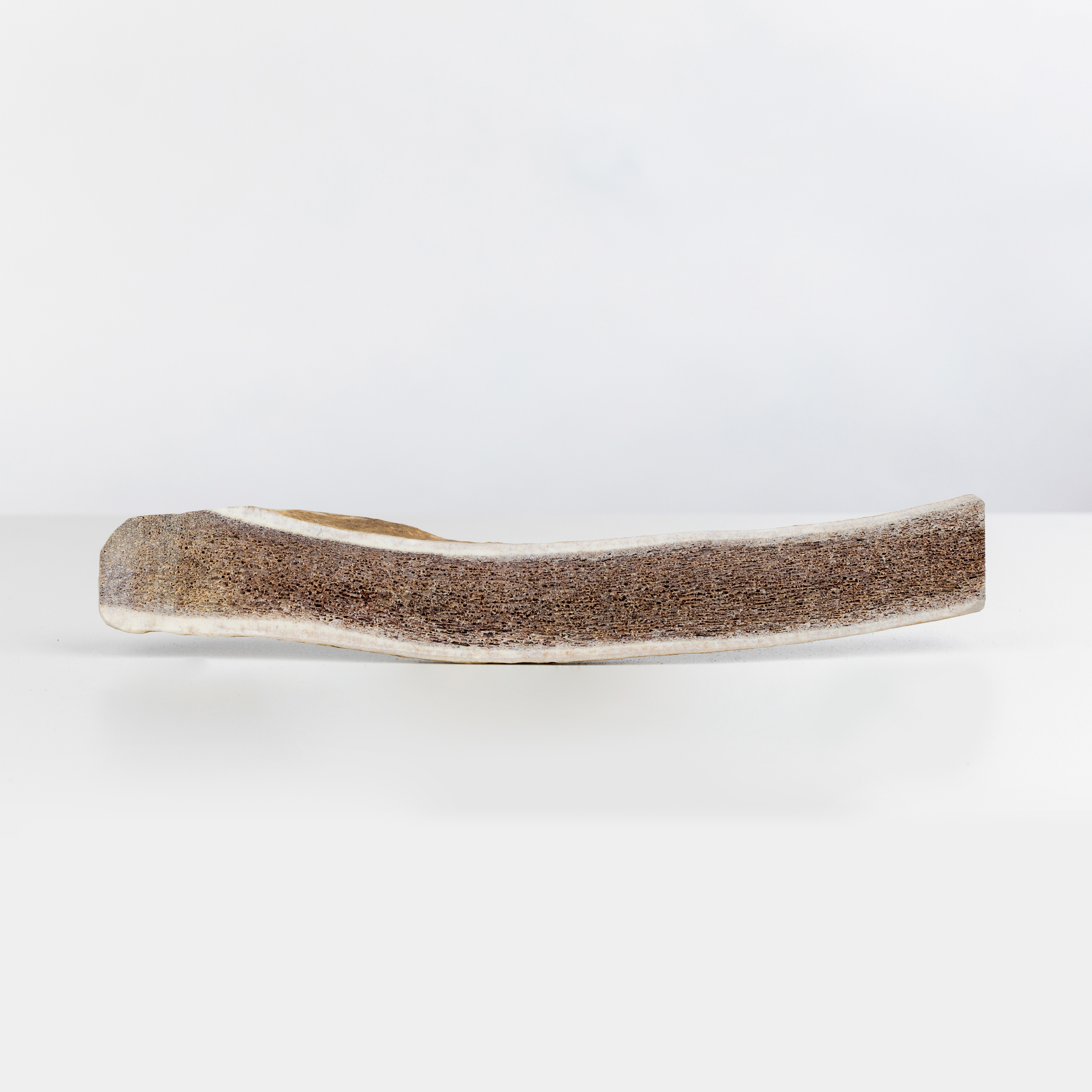 Primal Elk Antler Split, XL