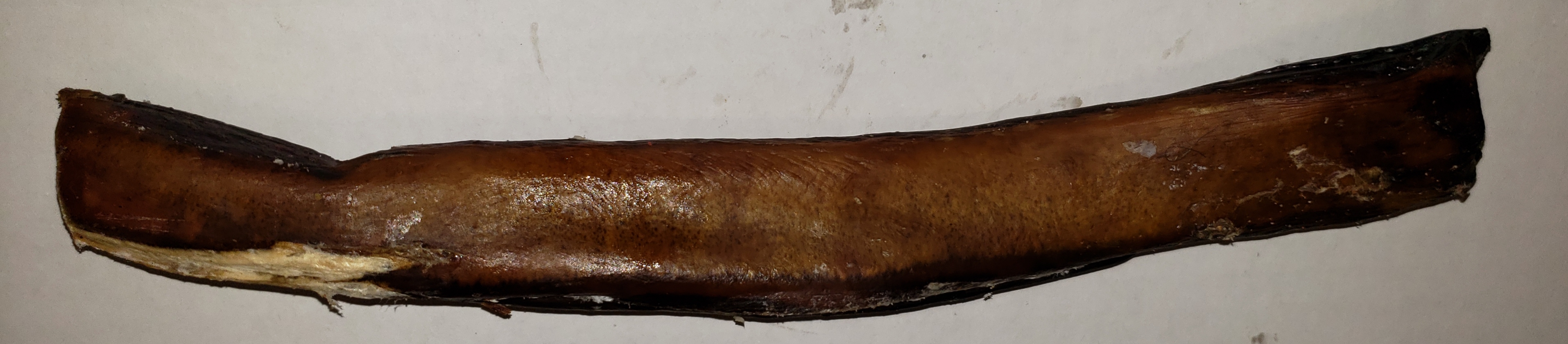 Bearinger Beef Bully Stick 12"