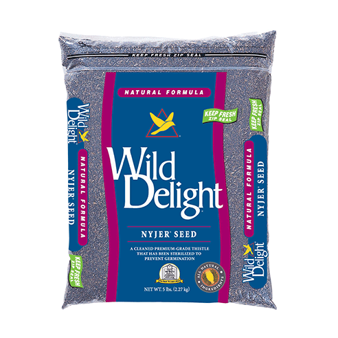 Wild Delight Nyjer Seed, 5 lbs