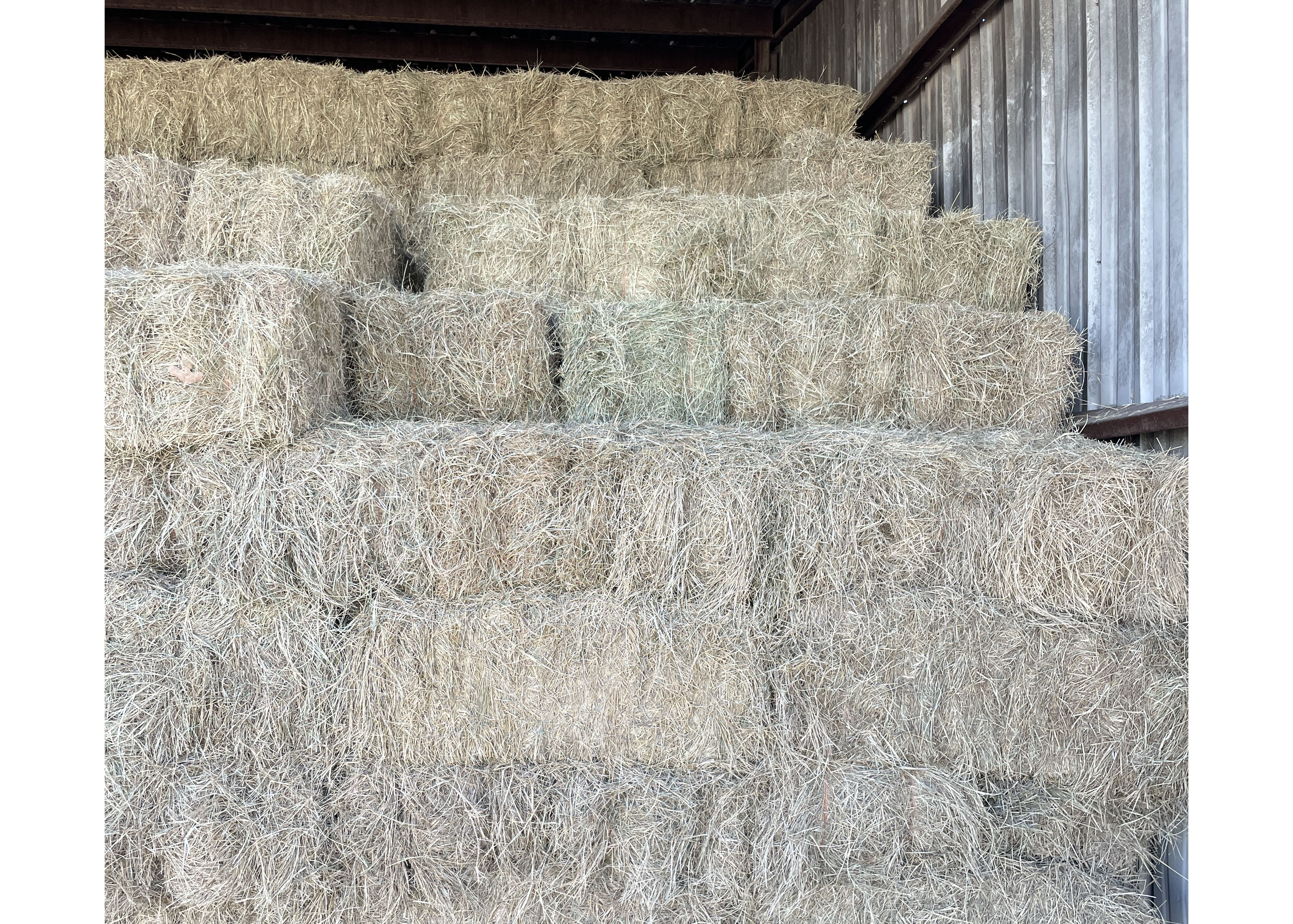 Hay - Grass, Mix, Straw