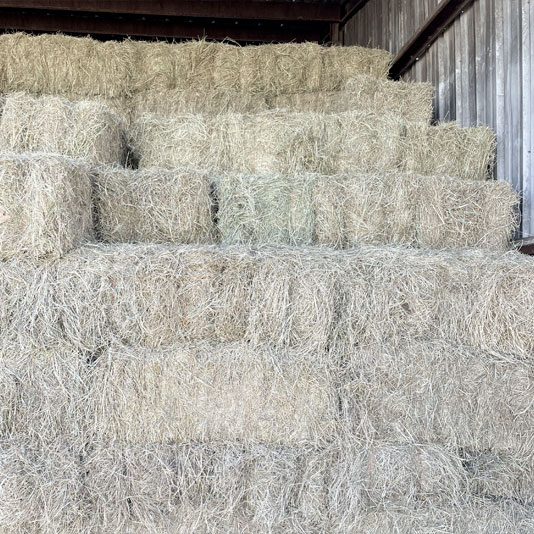 Hay - Grass, Mix, Straw