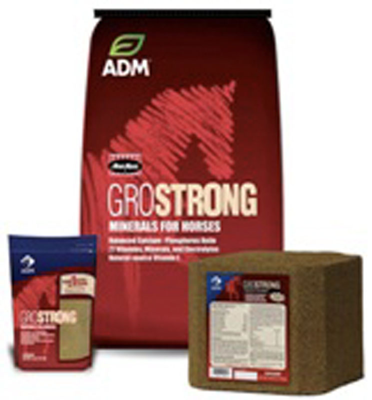ADM GroStrong Minerals for Horses, 25 lbs