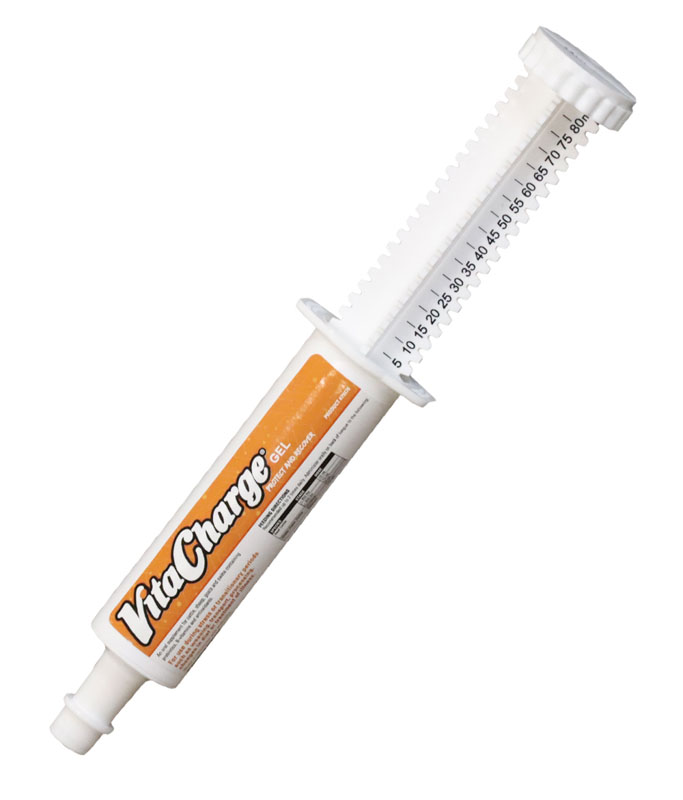Sure Champ Appet Plus Paste 60ml