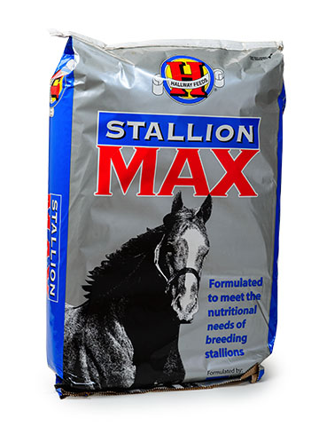 Hallway Stallion Max 50#