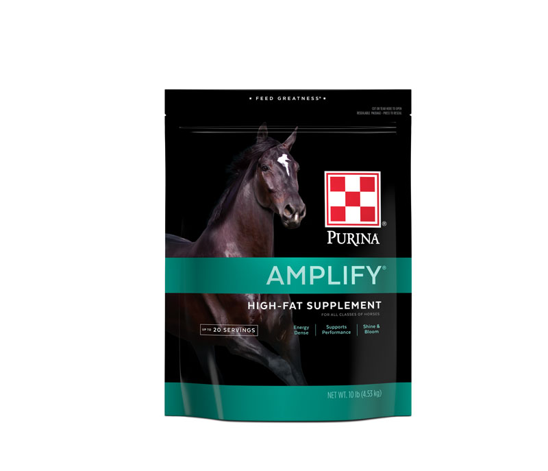 Purina Amplify High-Fat Horse supplement, 10 lbs