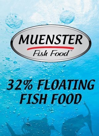 Muenster 32% Floating Fish Food, 40 lbs