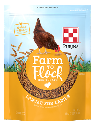 Pur Larvae Ladies Hen Treat 3#