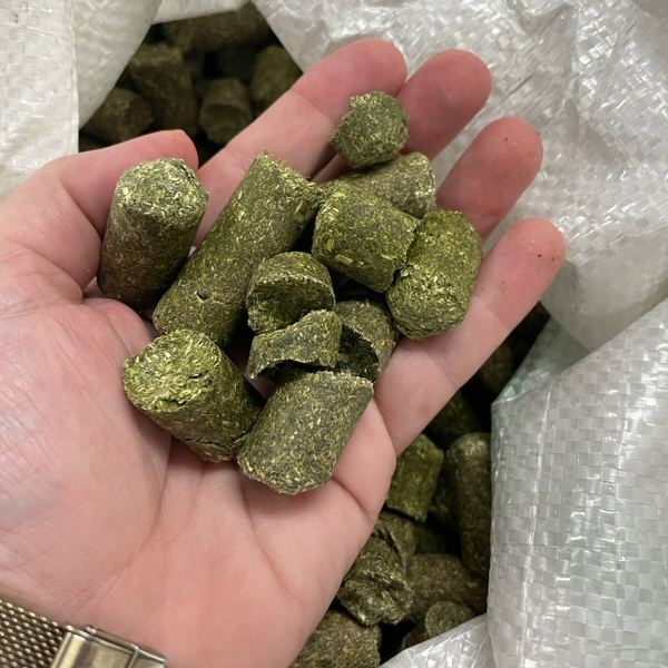 Miller Hay Sales Alfalfa Nugget, 50 lbs