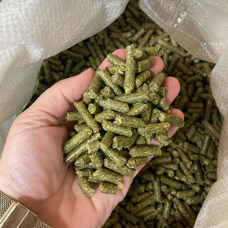 Miller Hay Sales Alfalfa Pellet, 50 lbs