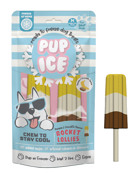 Pup Ice Rocket Lollie - Banana & Chocolate, 2 pack