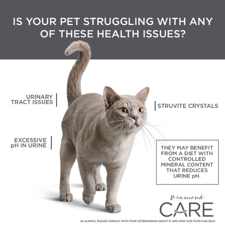 Diamond Care Urinary Support Formula for Cats