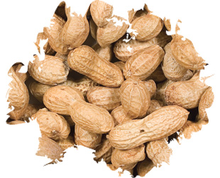 Wild Delight Inshell Peanuts