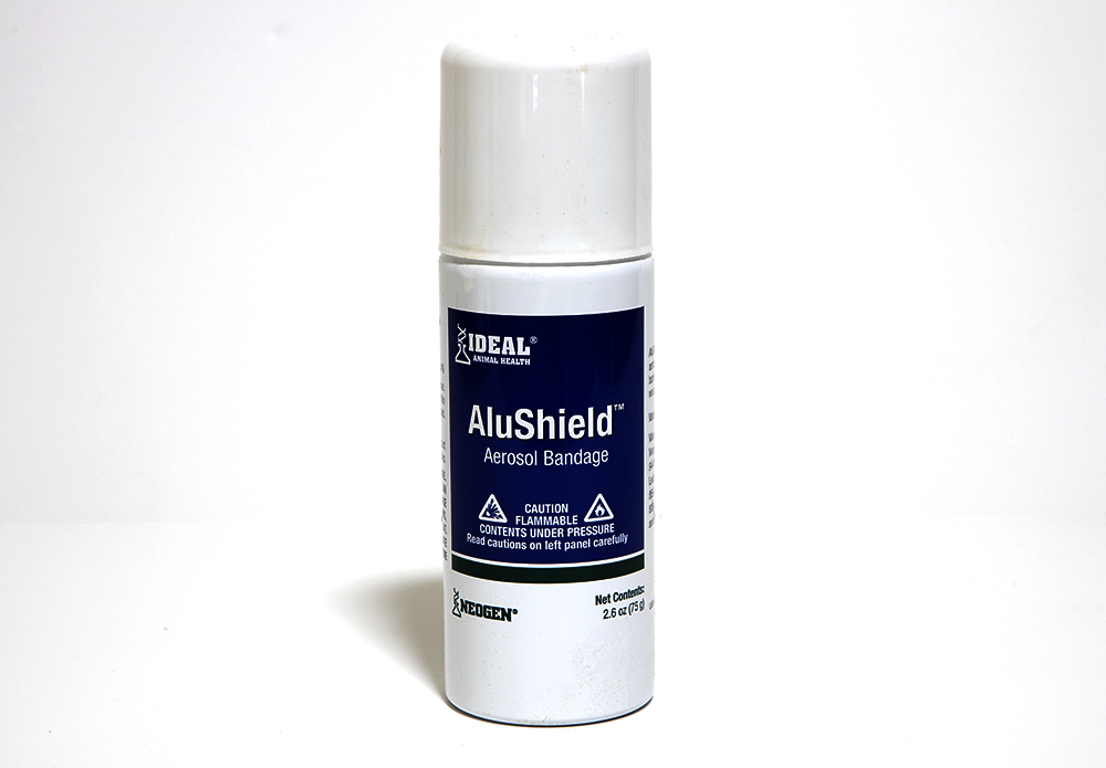 Alushield Aerosol Bandage 75gm