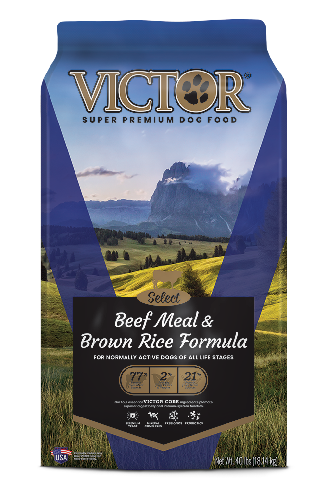 Victor Beef & Brown Rice Blue