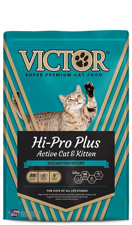 Victor Cat Hi-pro Ocean Fish