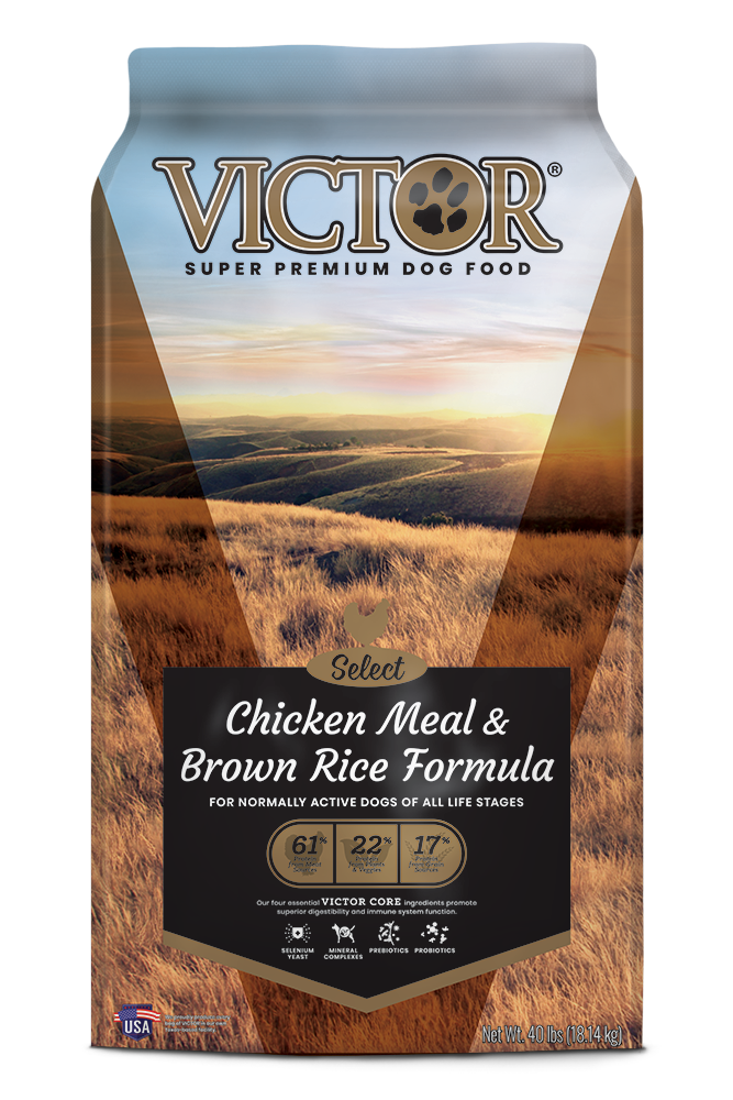 VICTOR Chicken Meal & Brown Rice Formula Dog Food