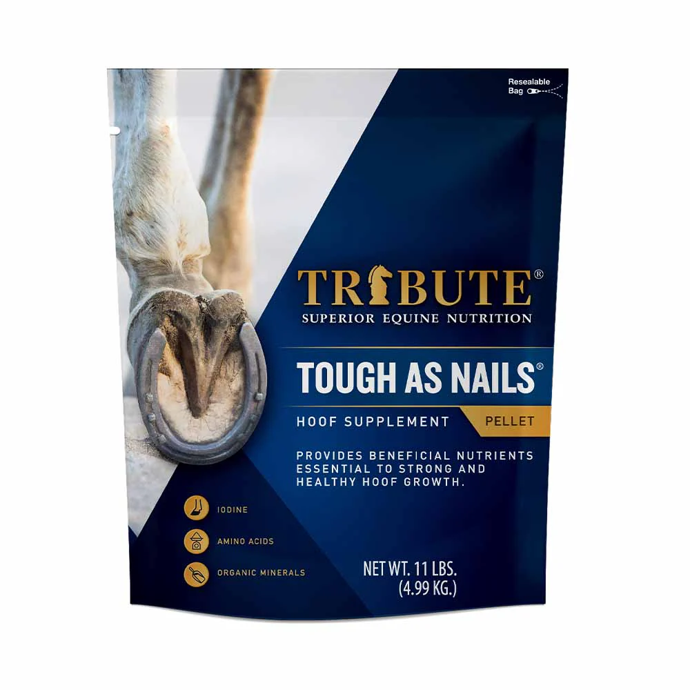 Tribute Tough as Nails, 11 lb