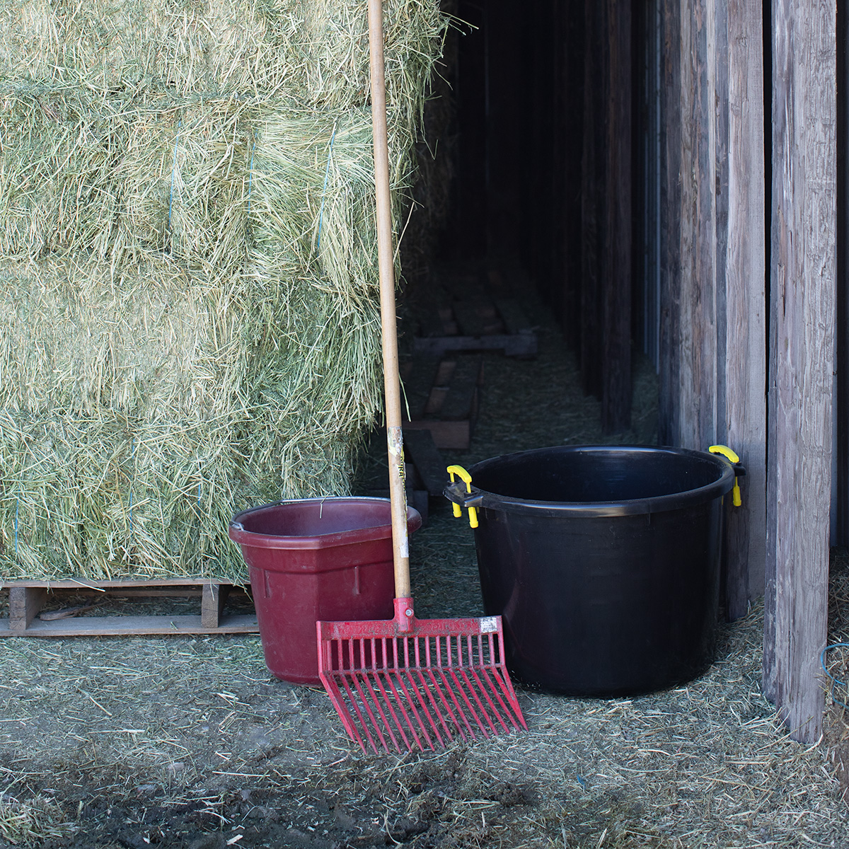 Barn &amp; Stable Supplies