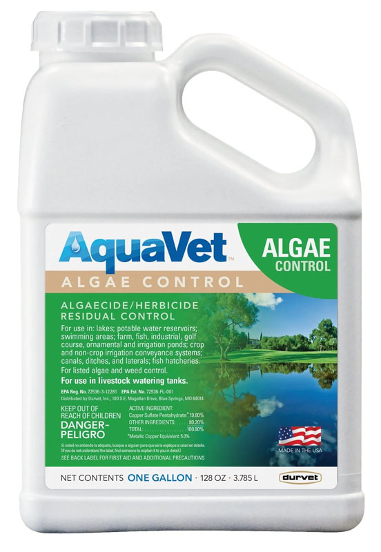 AquaVet Algae Control, 1 gal