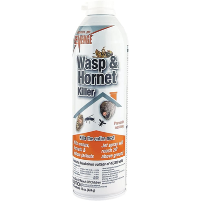 Wasp & Hornet Killer Spray, 15 oz