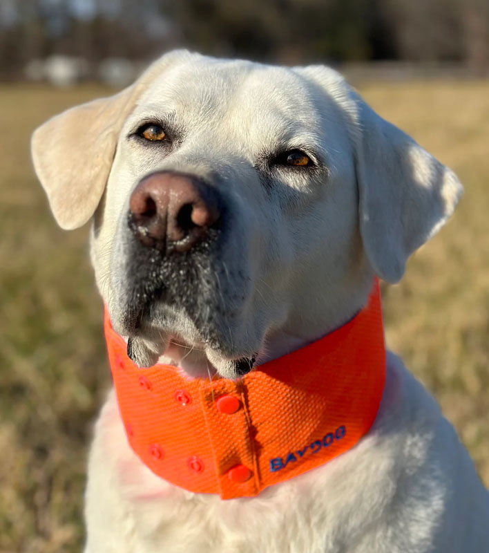 Arctic Bay Cooling Collar