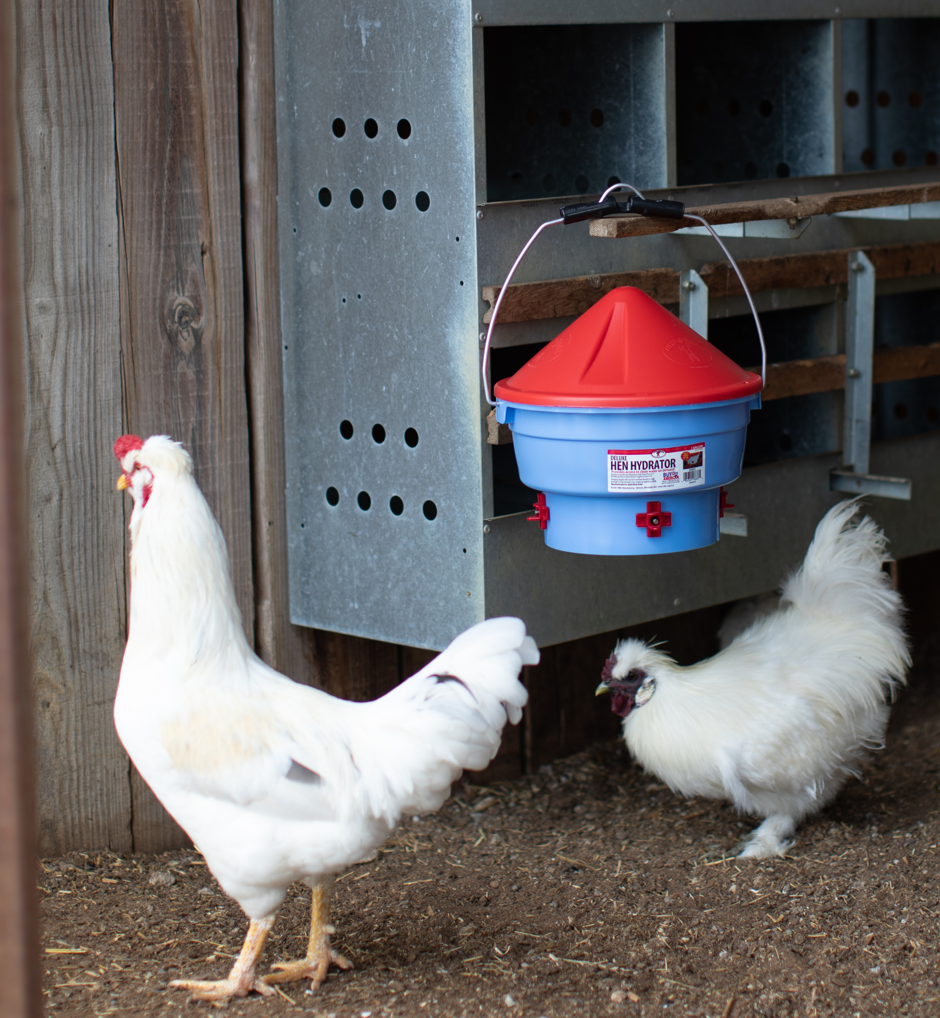 Deluxe Hen Hydrator