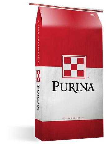 Purina Impact Alfalfa Balancer Cube for Horses, 50 lbs
