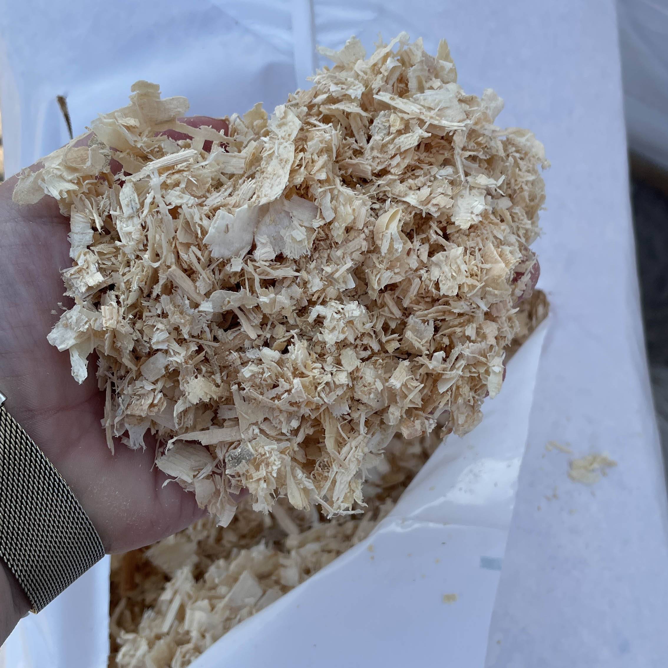 Ripe De Bois White Pine Shavings, 3.25 cu. ft.