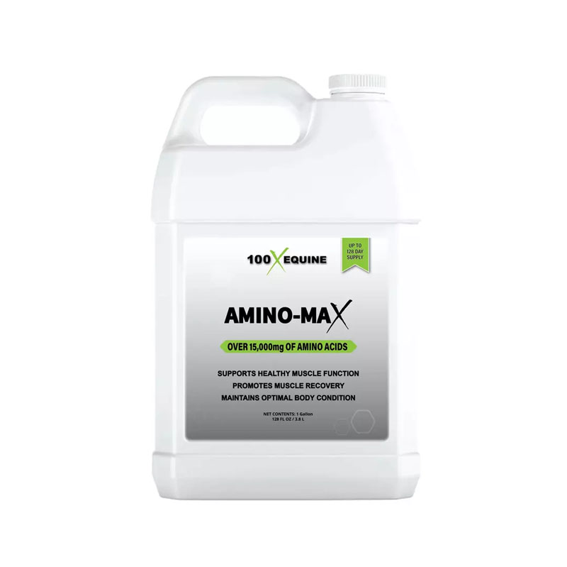 100X Equine Amino-Max, Gal