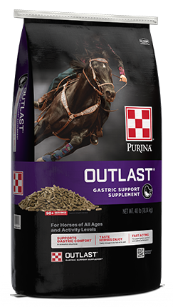 Purina Outlast Gastric Support Supplement for Horses