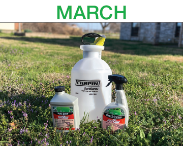 Luscious Lawns - Step 2