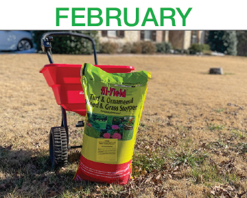 Luscious Lawns - Step 1