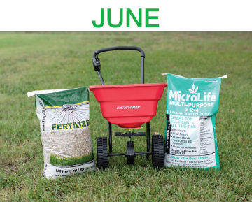 Luscious Lawns - Step 5