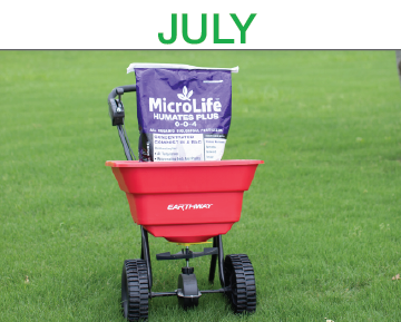 Luscious Lawns - Step 6