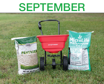 Luscious Lawns - Step 8