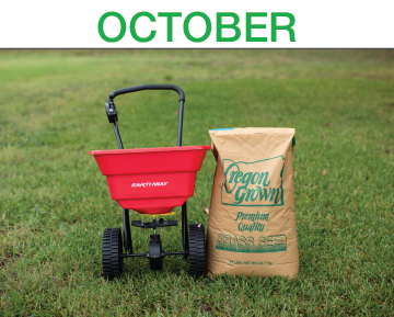 Luscious Lawns - Step 9