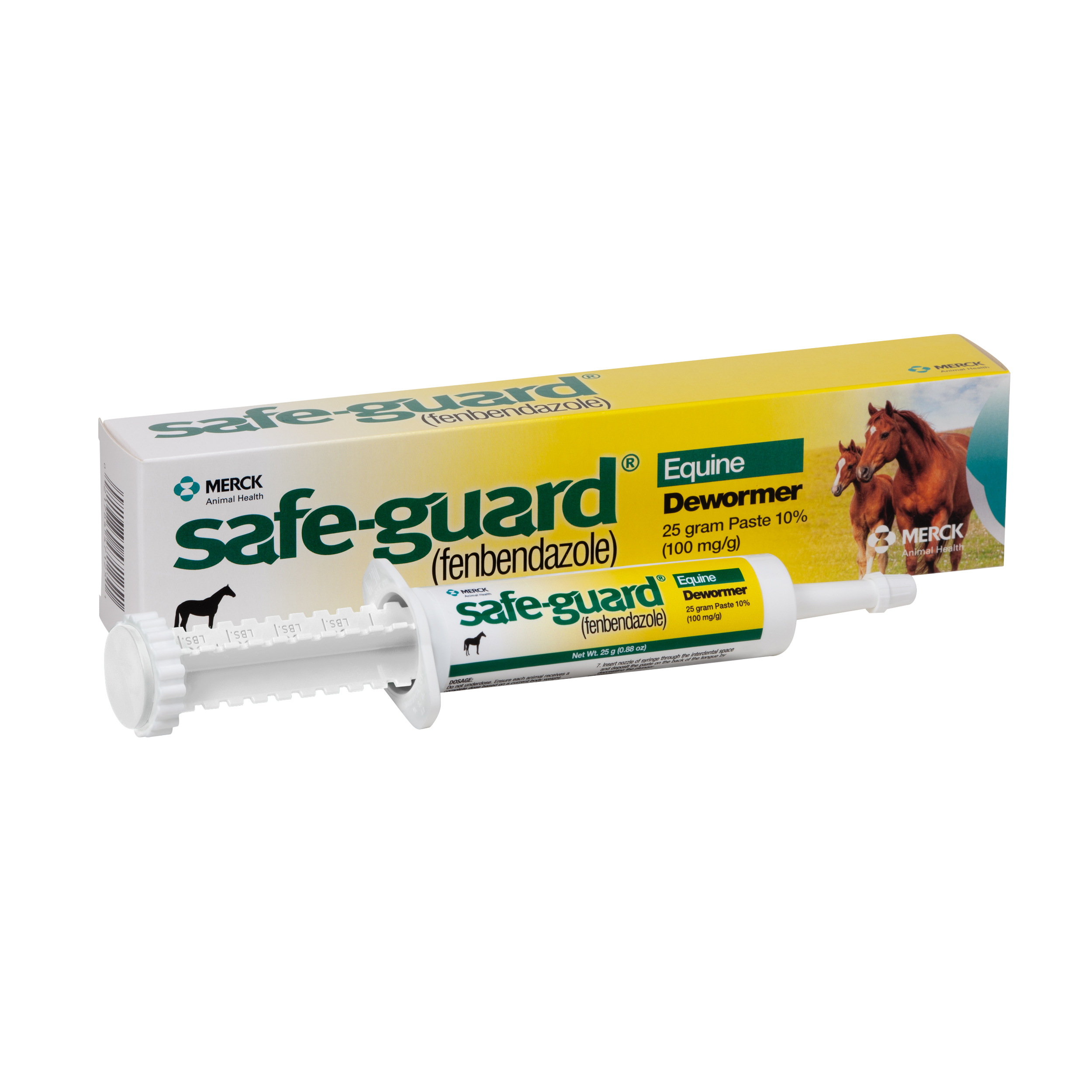 Safeguard Paste 25 gm