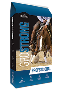GroStrong Professional Horse Feed, 50 lbs