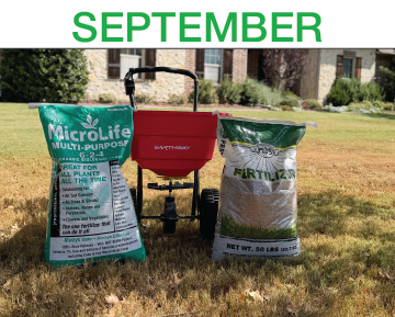Luscious Lawns - Step 8