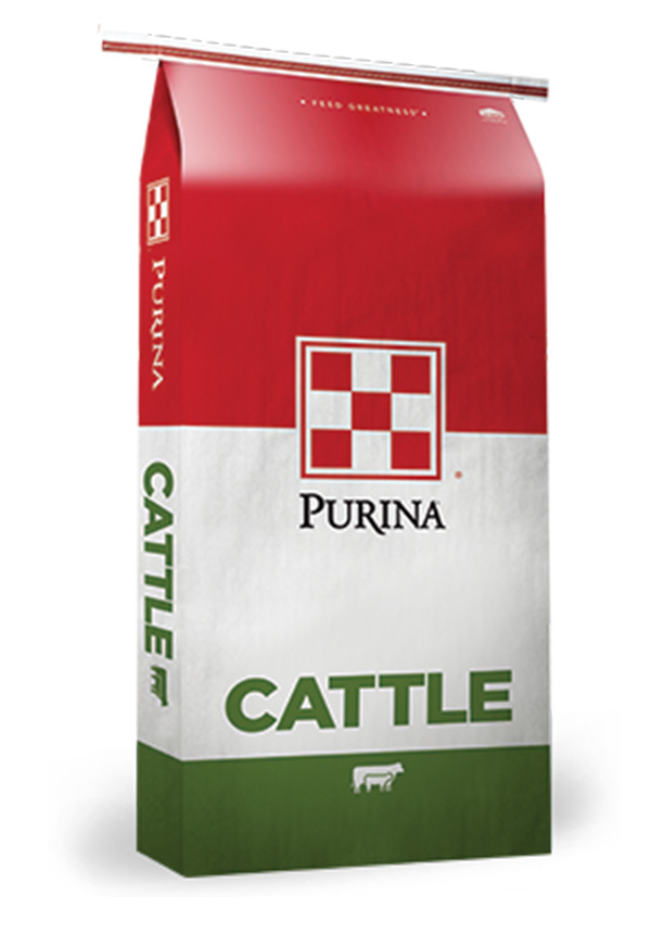 Purina Ranch Hand 20% Cattle Cubes, 50 lbs