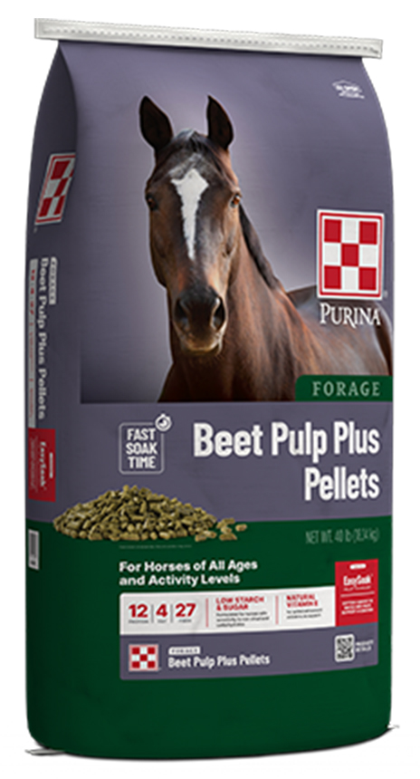 Purina Forage Beet Pulp Plus Pellets, 40 lbs