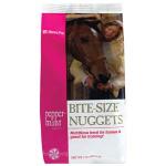 Bite Size Nuggets - Peppermint 1#