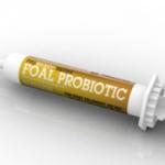 Full Bucket Foal Probiotic Paste